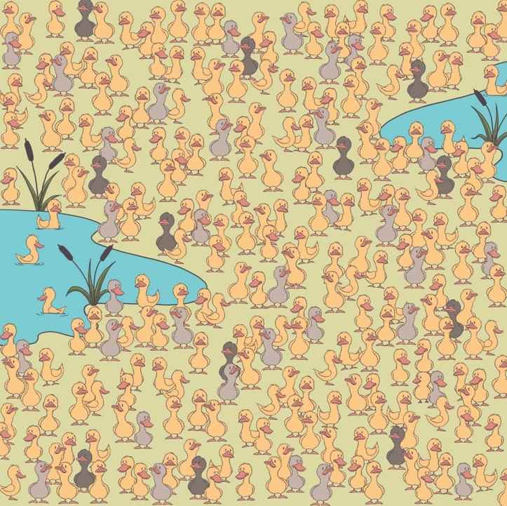 Mysteriet og det viktigste