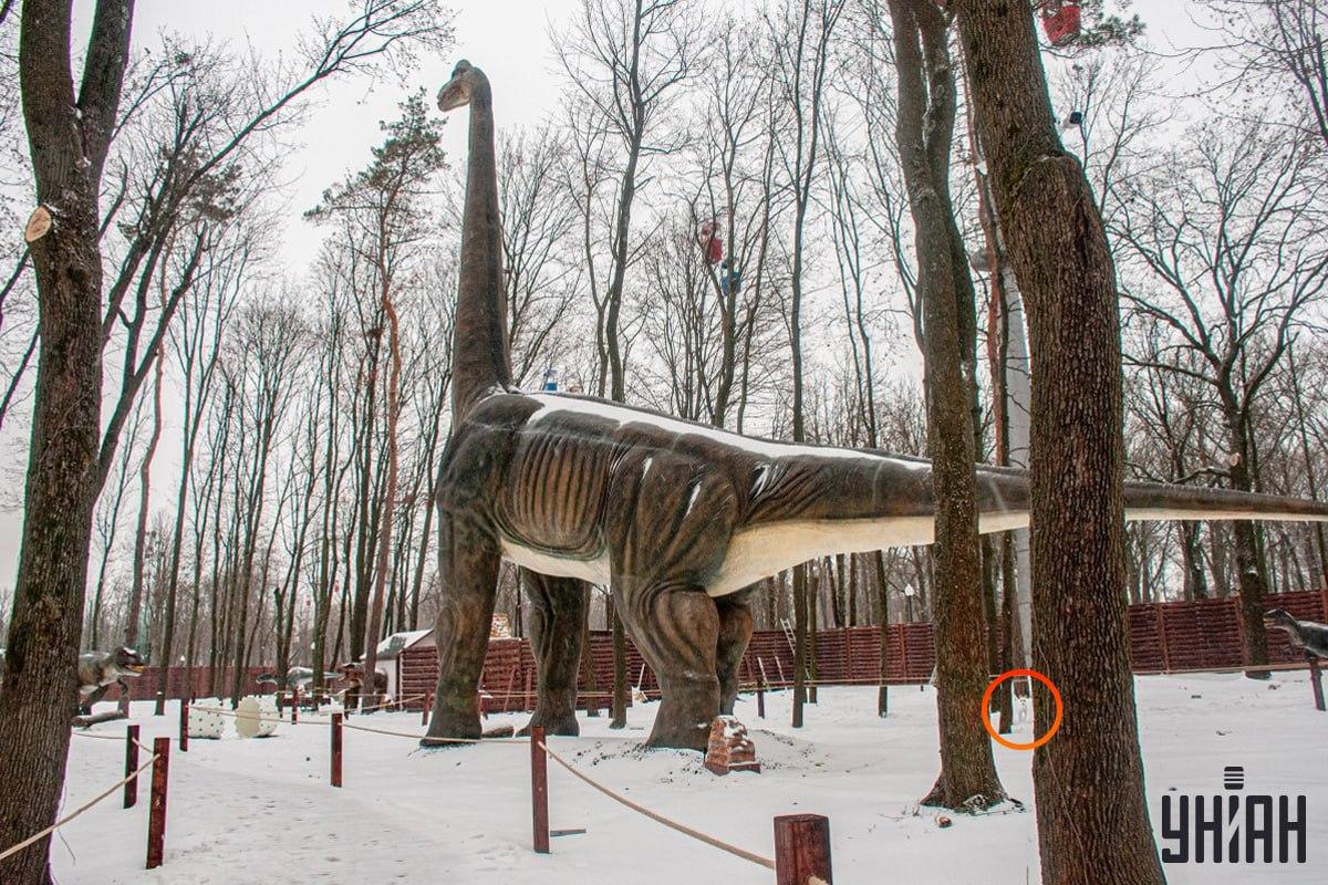 Hunden befant seg nær nedre venstre hjørne av bildet / Moje-collage