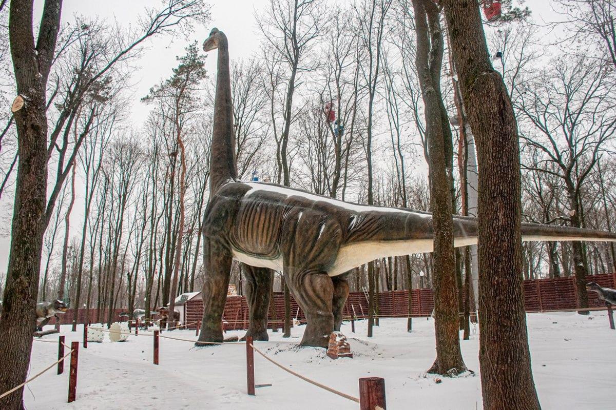 Finn en hund i snøen på 10 sekunder / Moje collage