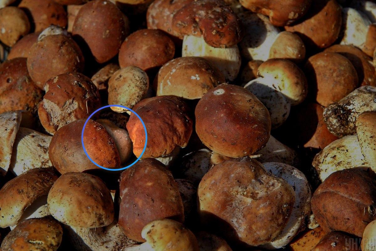 Steinen var nesten i midten av den optiske illusjonen / Moje-collagen