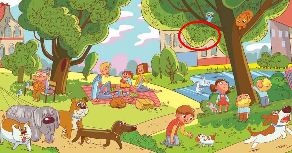 Dette er en oppgave som bare noen få mennesker kan klare: Du må finne løven i parken på 6 sekunder