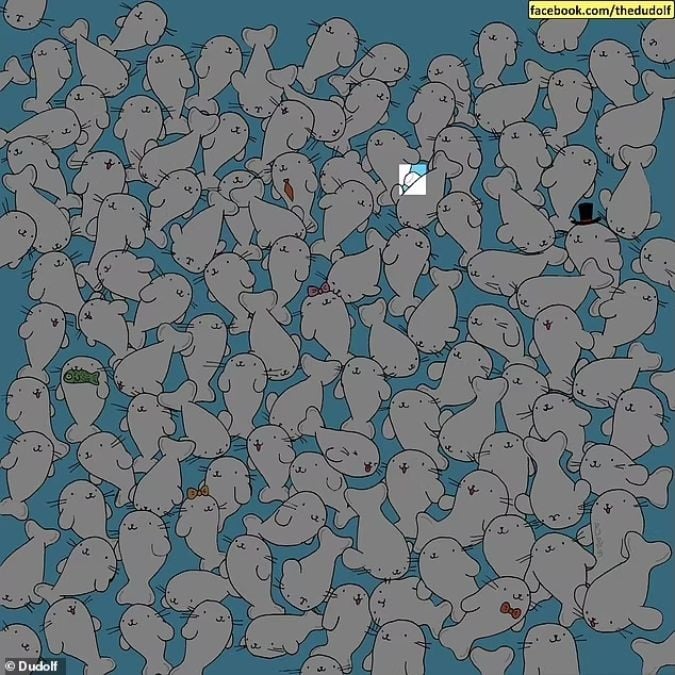 Et puslespill for folk med skarpt syn: Finn marshmallowen blant selene på 11 sekunder