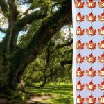 Bare 2 prosent av geniene vil finne ordet «tre» på