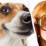 Bare en ekte IQ-titan vil se en hund i snøen