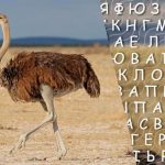 Bare personer med høy IQ vil finne ordet «struts» på