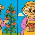 IQ-test: Finn tre forskjeller på bilder av en gammel dame