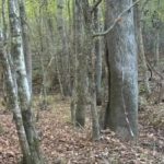 Rebus for deg med godt syn: Du må finne et